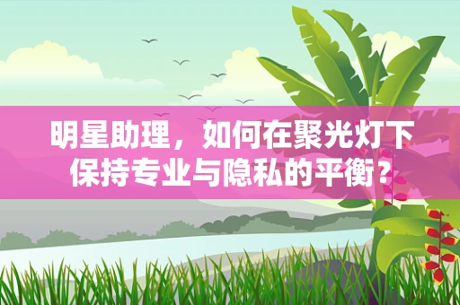 明星助理，如何在聚光灯下保持专业与隐私的平衡？