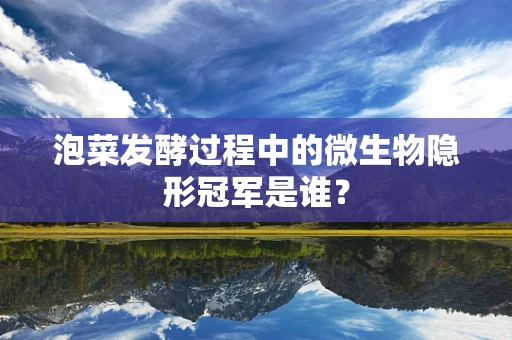 泡菜发酵过程中的微生物隐形冠军是谁？