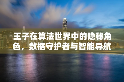 王子在算法世界中的隐秘角色，数据守护者与智能导航者