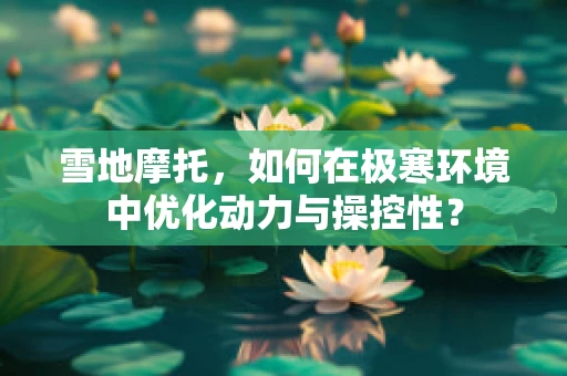 雪地摩托，如何在极寒环境中优化动力与操控性？