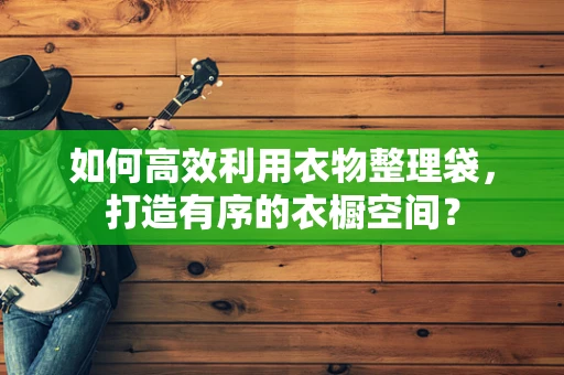 如何高效利用衣物整理袋，打造有序的衣橱空间？