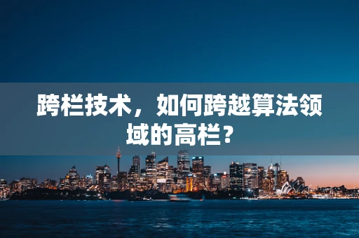 跨栏技术，如何跨越算法领域的高栏？