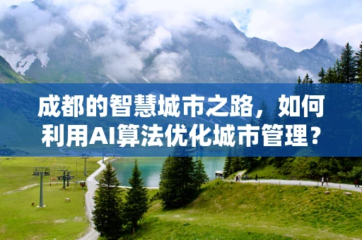 成都的智慧城市之路，如何利用AI算法优化城市管理？