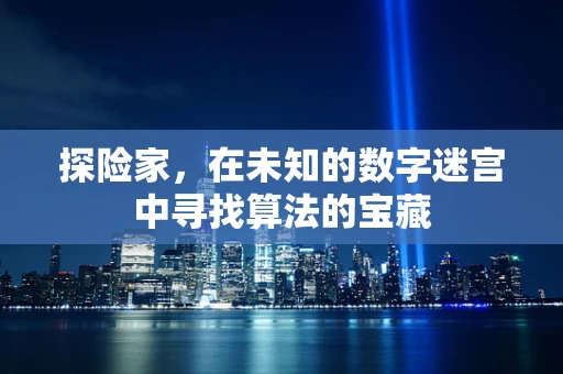 探险家，在未知的数字迷宫中寻找算法的宝藏