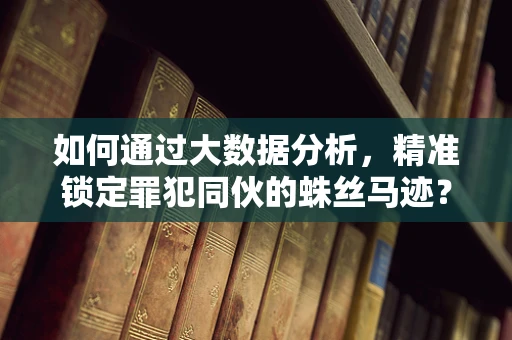 如何通过大数据分析，精准锁定罪犯同伙的蛛丝马迹？