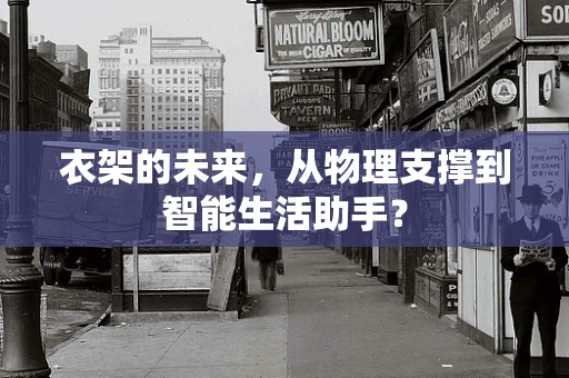 衣架的未来，从物理支撑到智能生活助手？