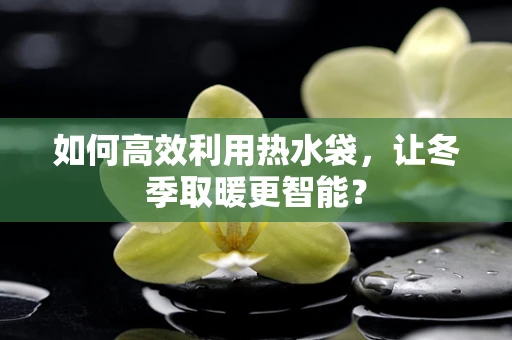 如何高效利用热水袋，让冬季取暖更智能？