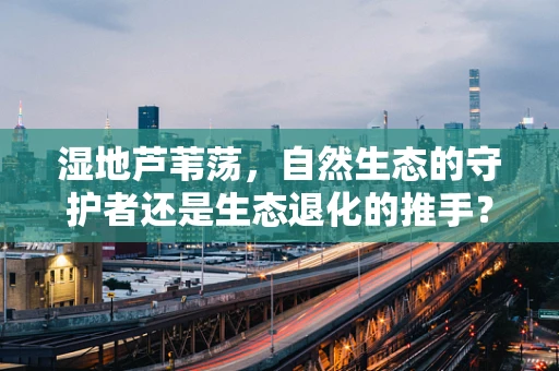 湿地芦苇荡，自然生态的守护者还是生态退化的推手？