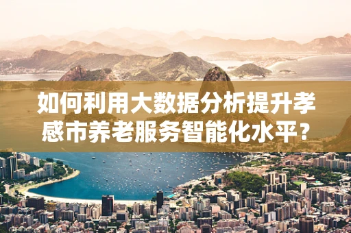 如何利用大数据分析提升孝感市养老服务智能化水平？