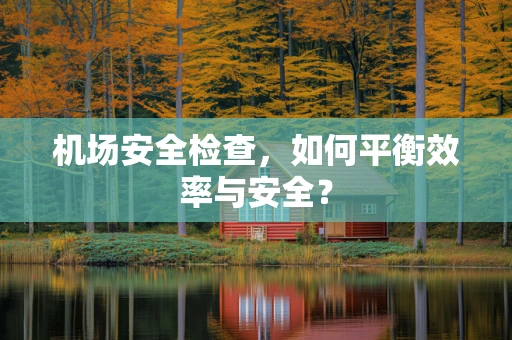 机场安全检查，如何平衡效率与安全？