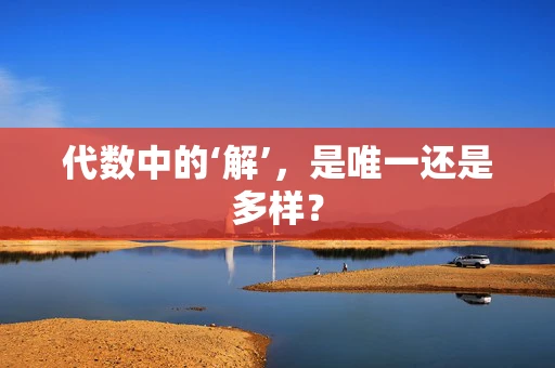 代数中的‘解’，是唯一还是多样？