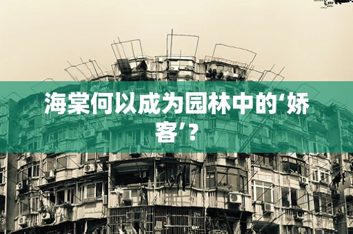 海棠何以成为园林中的‘娇客’？